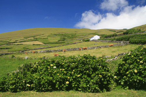 A farmers home in Corvo Island