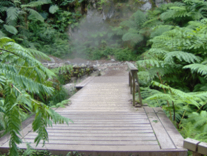 at Caldeira Velha Sao Miguel