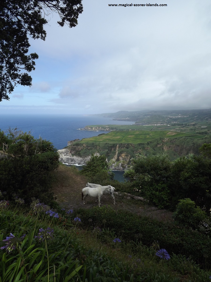 At Miradouro da Santa Iria in the Azores Islands (Sao Miguel)