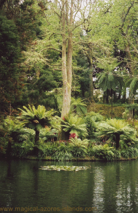 Terra Nostra Park, Sao Miguel Azores