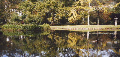 Terra Nostra Park, Sao Miguel Azores